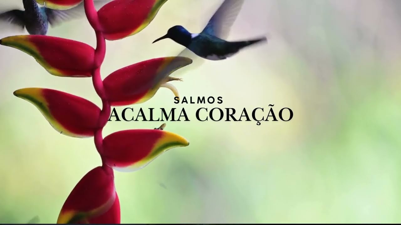 Acalma Coração (Salmos)| Conhecido por Deus