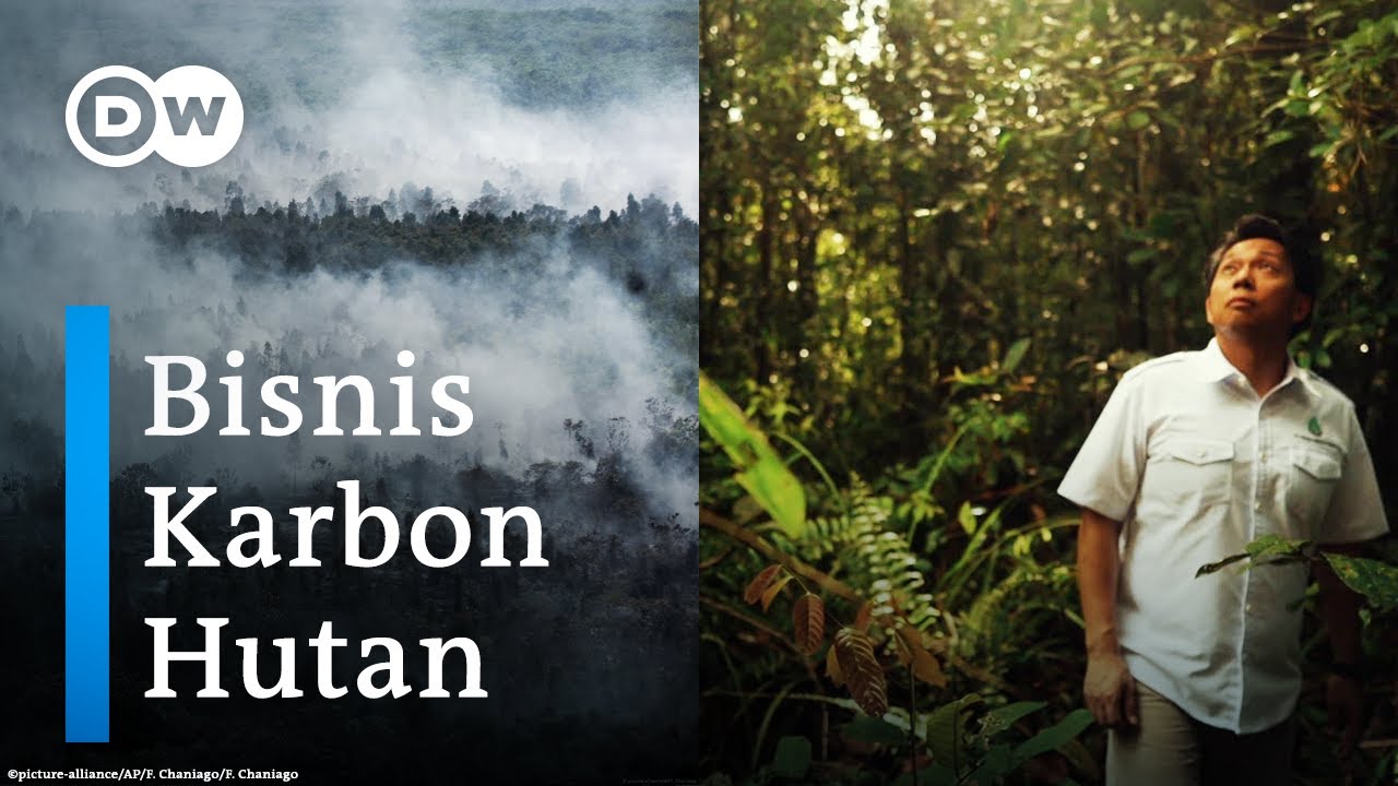 Jual Karbon dari Lahan Gambut Kalimantan ke Perusahaan Pencemar Lingkungan