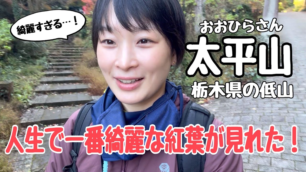 【栃木県 太平山】ここまで綺麗な紅葉は見たことない！秋の山を、のんびり贅沢登山♪
