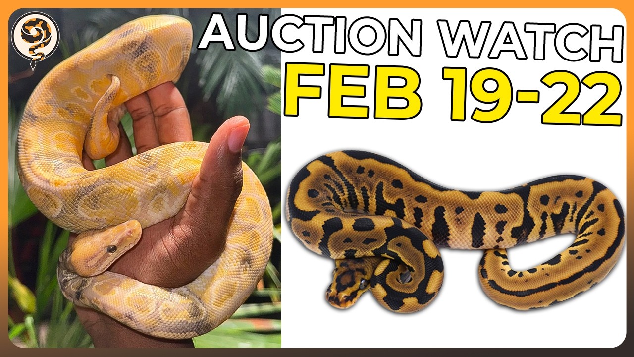 Some Rare Genetics just in time for the Early Spring! - February 19-22