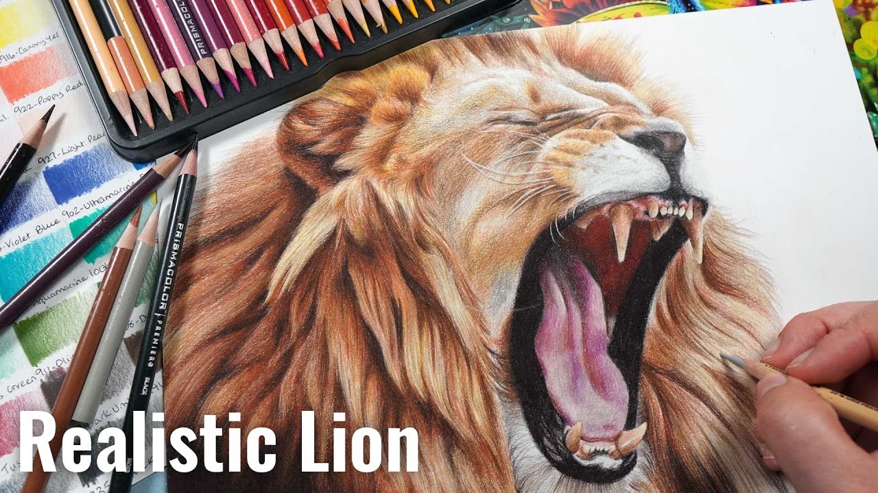 How to Draw a Lion with Coloured Pencils | Prismacolor Tutorial