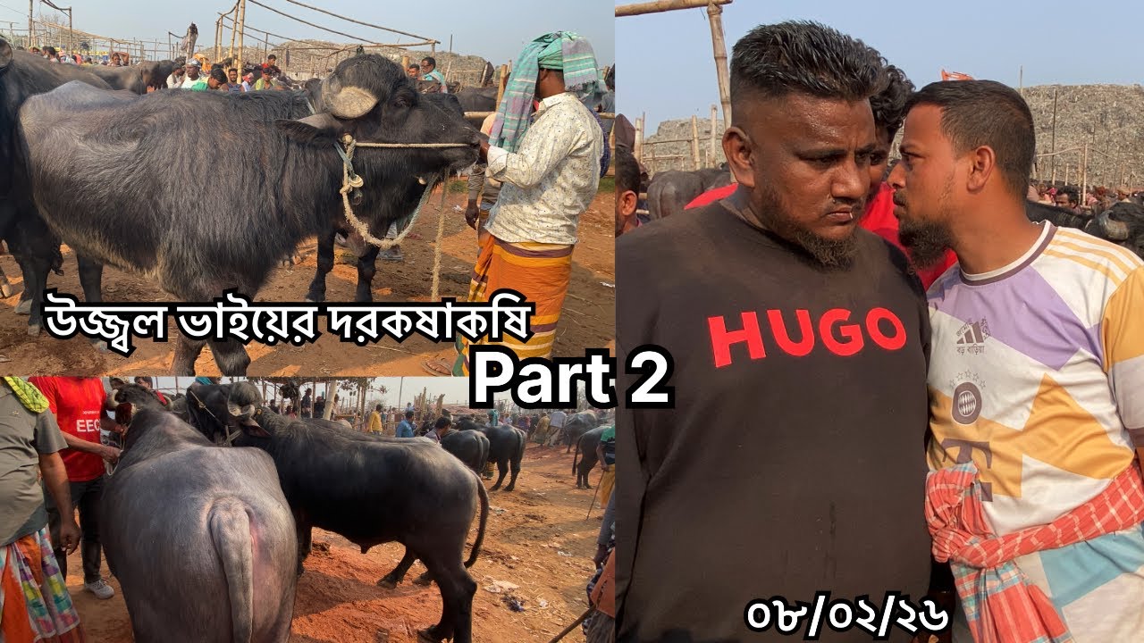 উজ্জ্বল ভাইয়ের দরকষাকষি | Part 2 