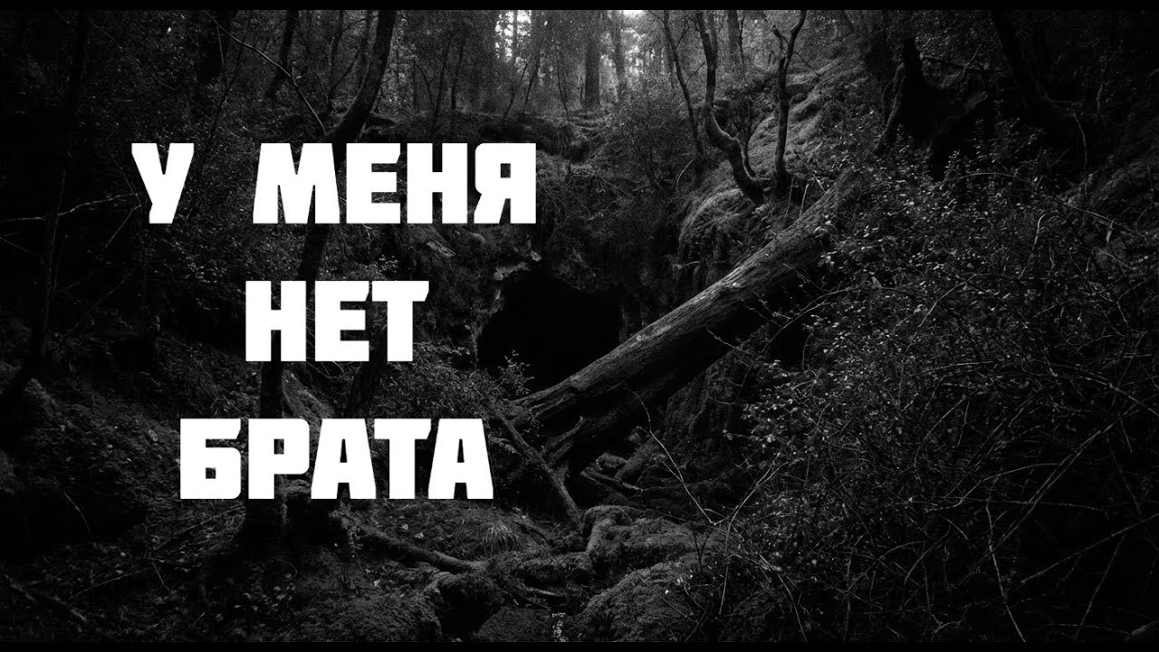 У меня нет брата. Страшные истории на ночь. Страшилки на ночь.