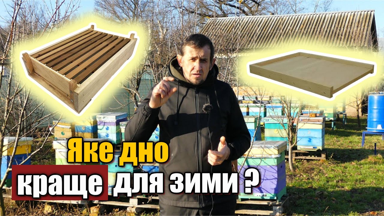 Яке днище вулика краще для зимівлі бджіл?