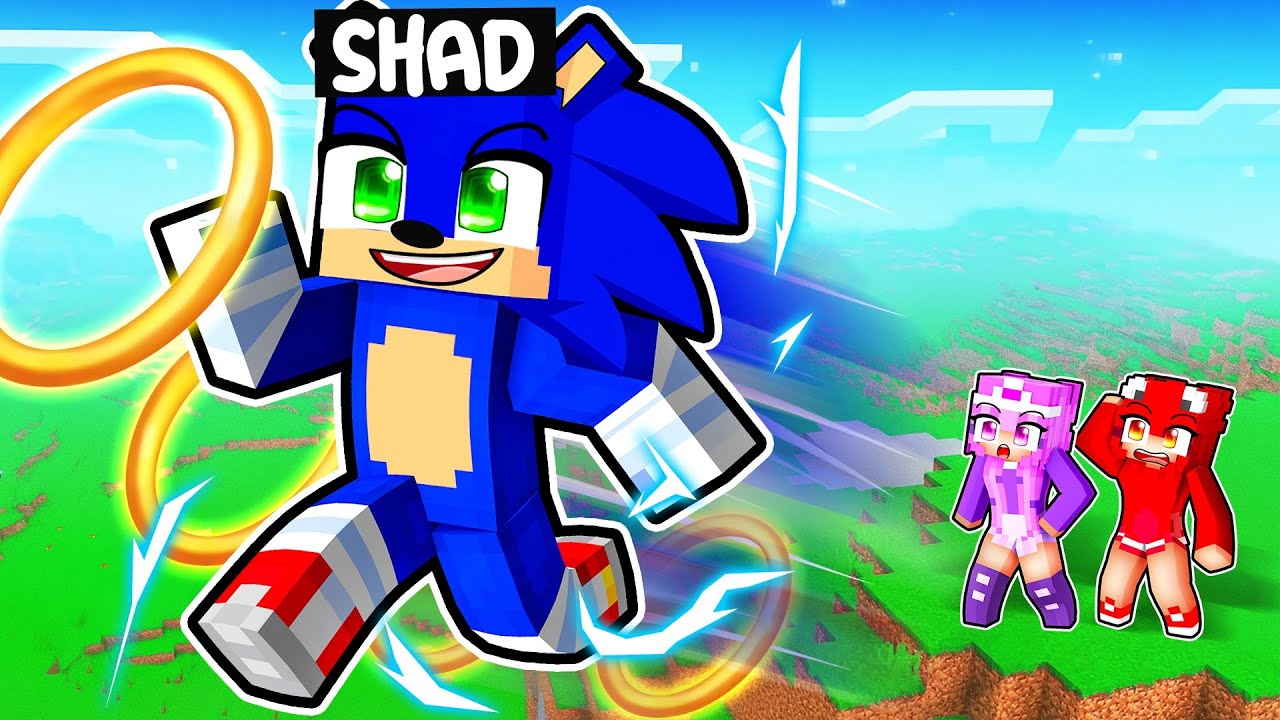 I Pretended to be SONIC and BEAT MINECRAFT!