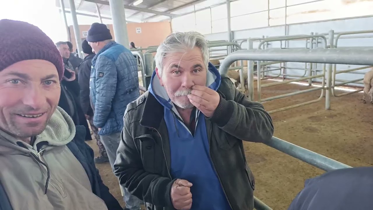 7 Şubat Şuhut canlı hayvan pazarı YouTube Kuzucu isa olarak takip Edip abone olabilirsiniz 