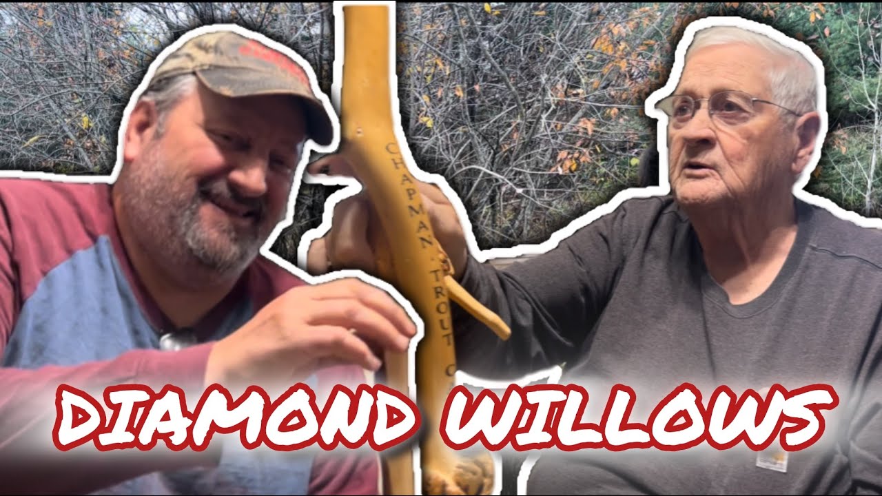 Diamond Willow Walking Sticks  the process and the how to