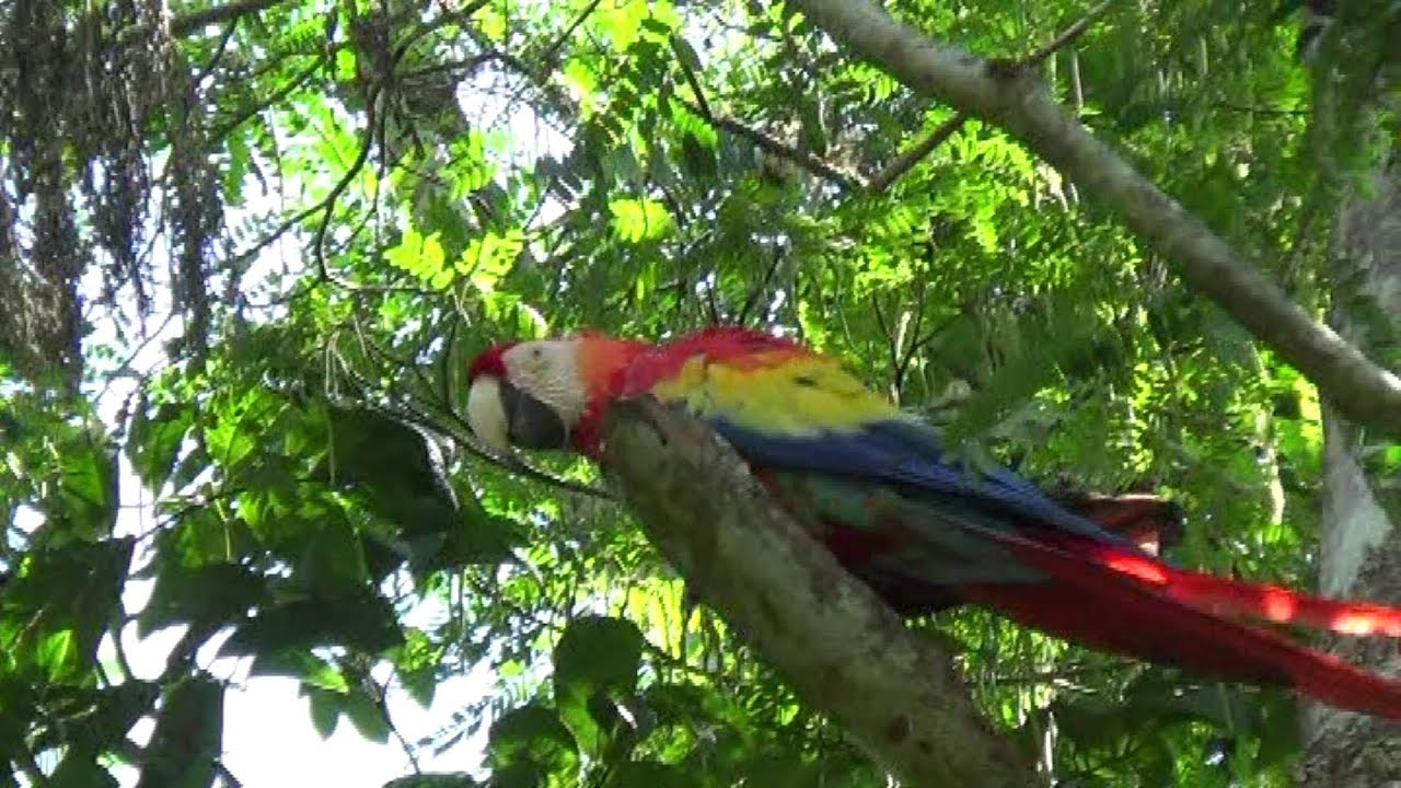 Honduras