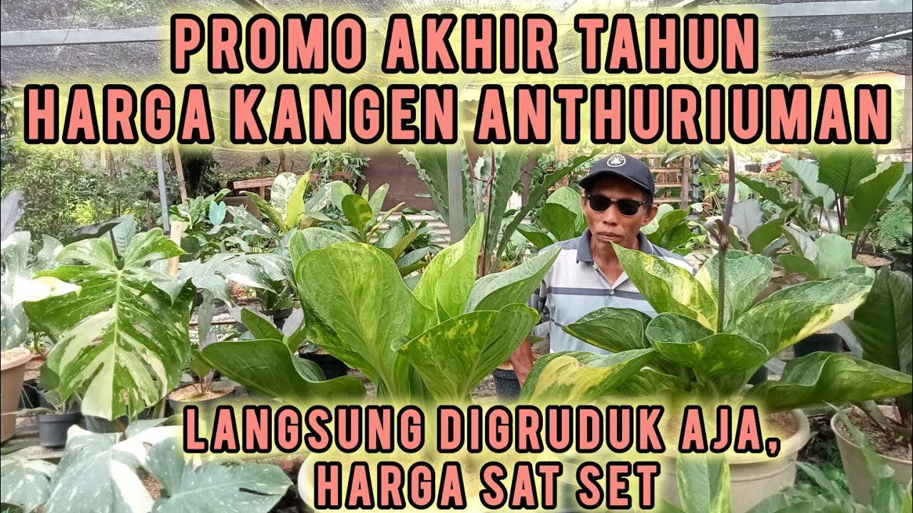 PROMO AKHIR TAHUN HARGA RINDU ⁉️LANGSUNG GRUDUK AJA KOLEKSIAN MURAH MERIAH SIAP PAJANG...