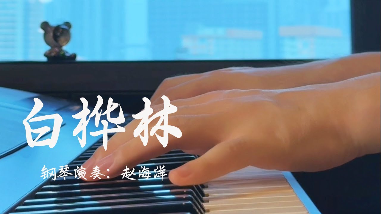 钢琴演奏「白樺林」| 夜色钢琴曲 Yese Piano【趙海洋钢琴曲】