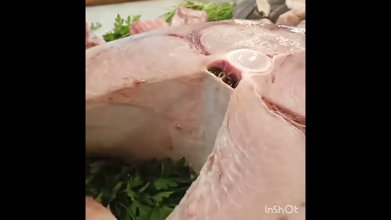 سوق بيع الأسماك عرض جميع أنواع الأسماك وجولة معي