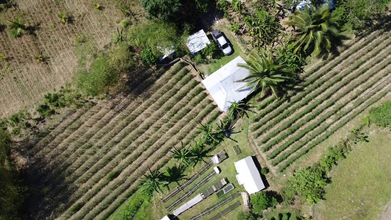 Ecoside Agricultural Farm Visit