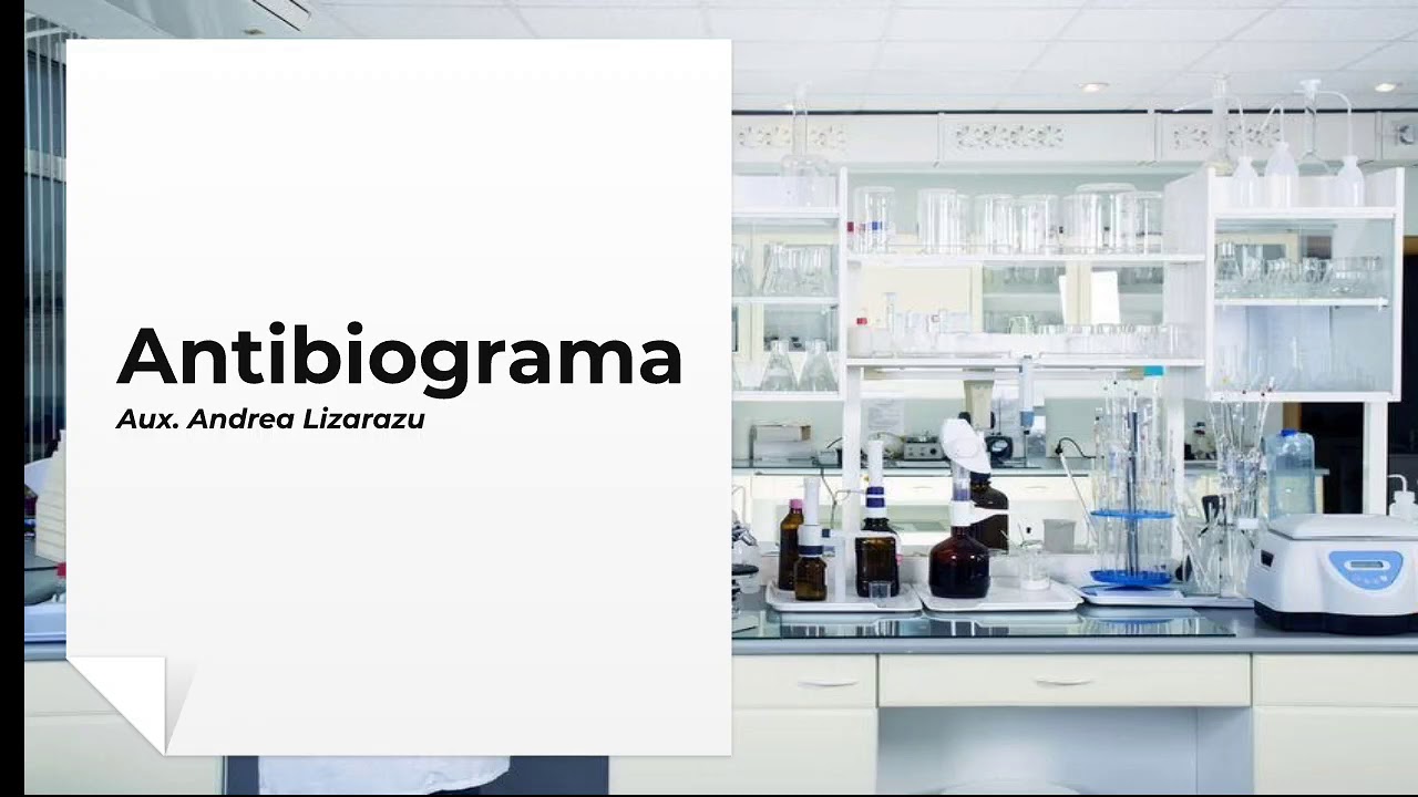 Antibiograma