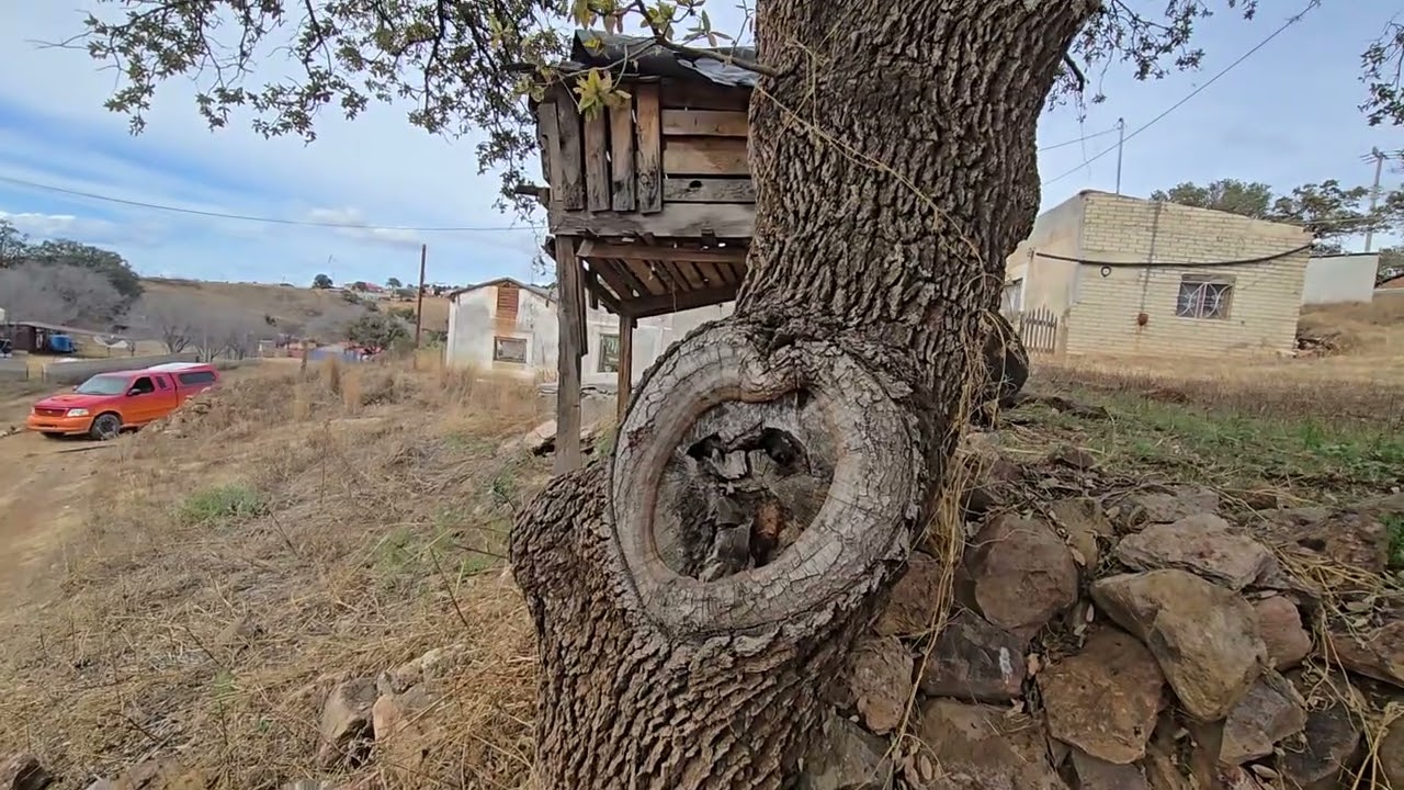La escuela  de posta de jihuites Las Aventuras de Isa y Nino 