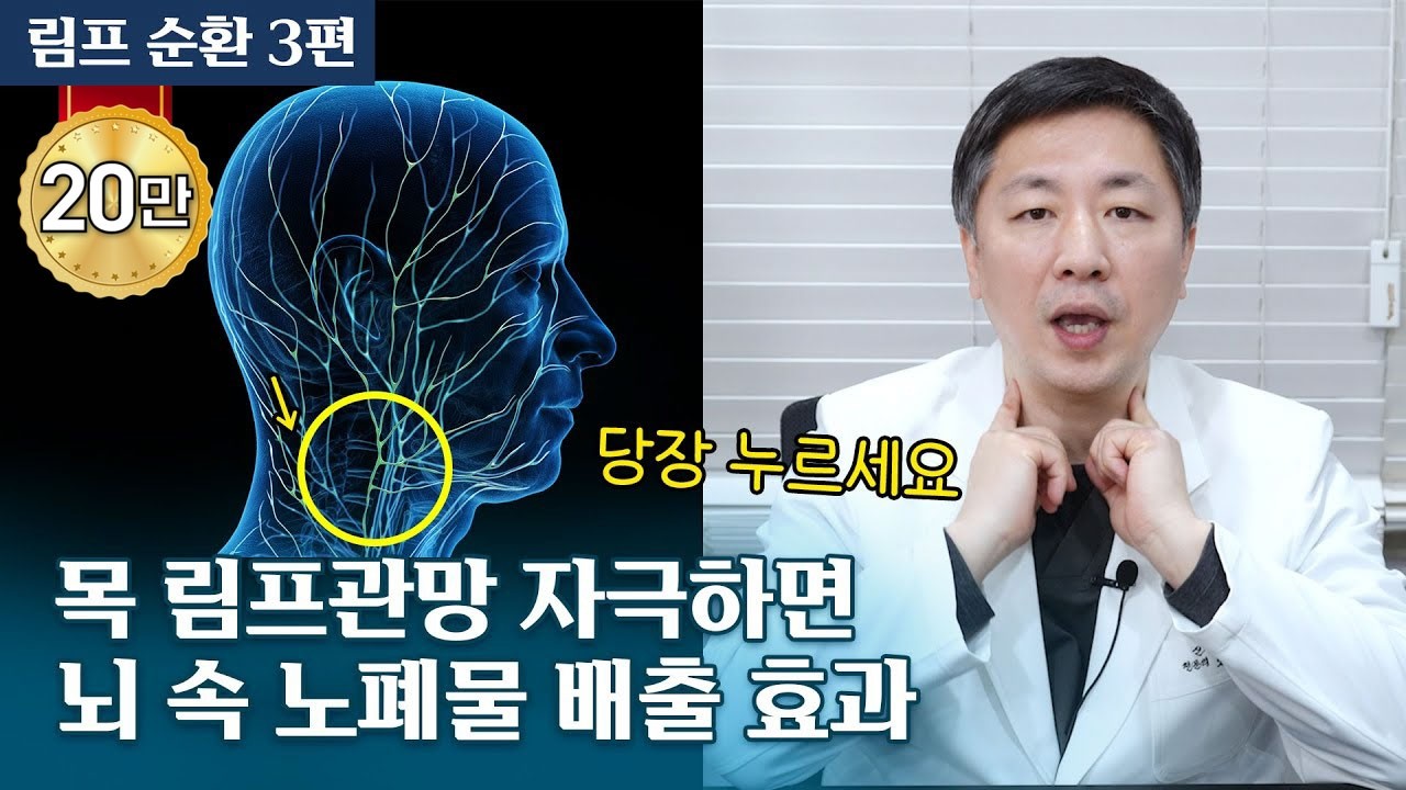 뇌 속 노폐물 배출 경로 발견? 목 림프 순환이 치매, 파킨슨병 등 퇴행성 중추신경계 질환 예방에 중요한 이유