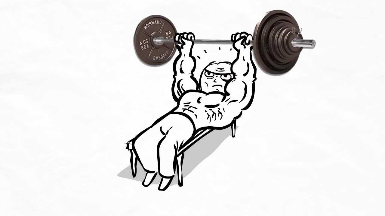 Memes animados - Academia