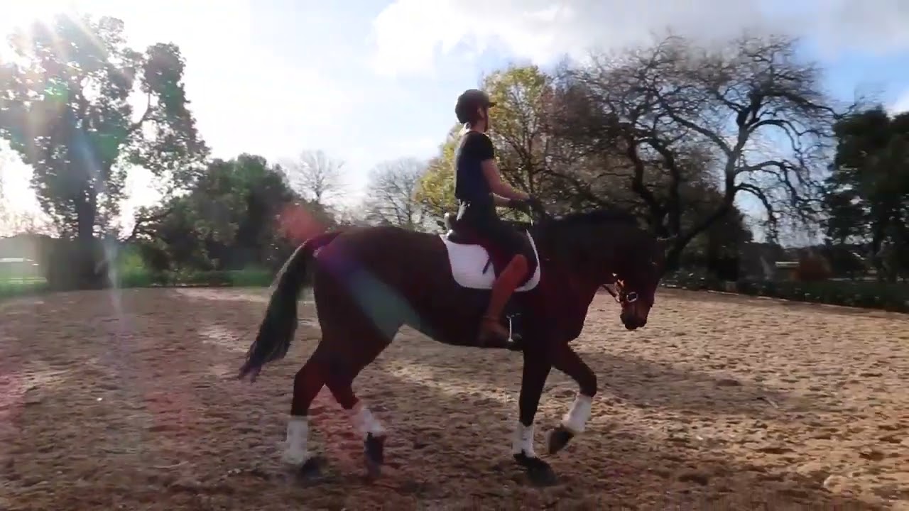 Mastering the 20 metre circle