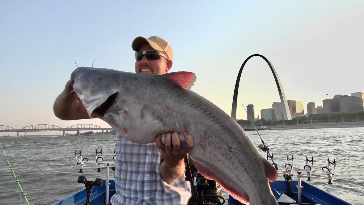 Catching GIANT CATFISH On a HUGE RIVER