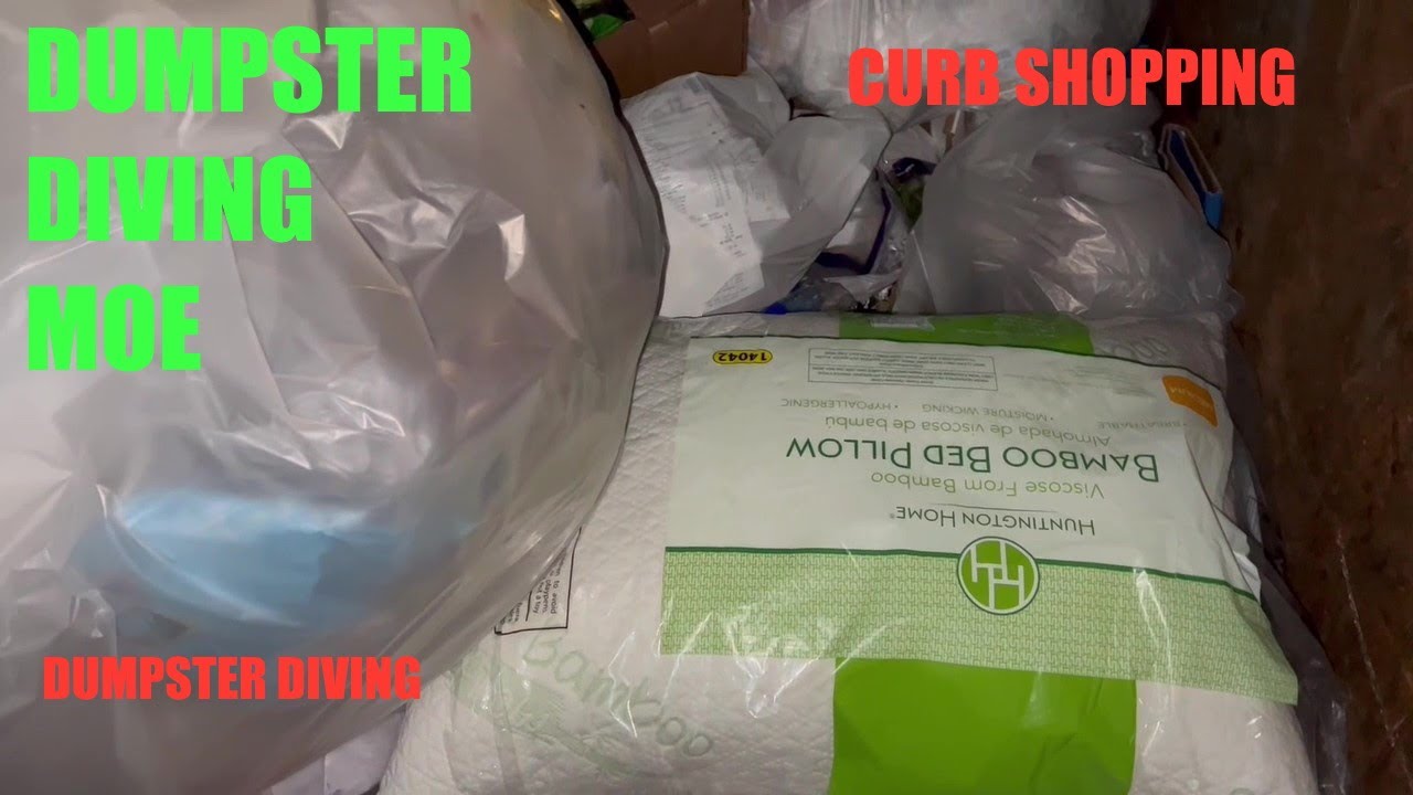 DUMPSTER DIVING and CURB SHOPPING what did we find? #dumpsterdiving #loquetiranenusa