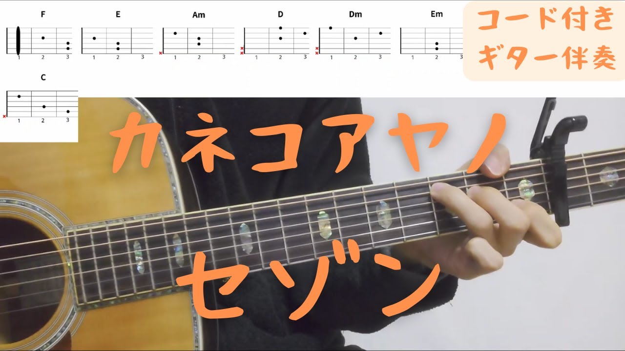 【ギターコード付き】カネコアヤノ/セゾン【アコギ弾いてみた】