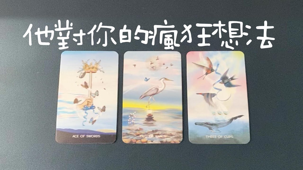 他對你的瘋狂想法，對你的陰暗面以及直白想法，沒有對你說出口的話|曖昧|愛情|戀愛|桃花|塔羅占卜|