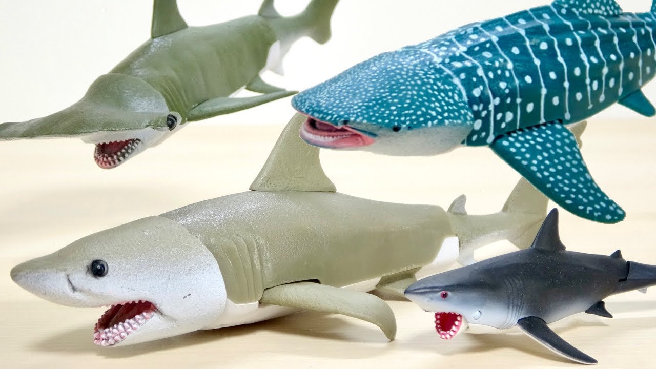ホホジロザメ, ジンベエザメ, シュモクザメ テンションあがるサメセット!OCEAN ACTION 3PACK