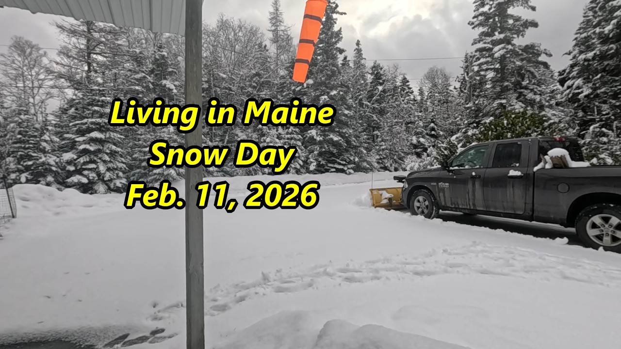 Living in Maine - Snow Day - Feb. 11, 2026