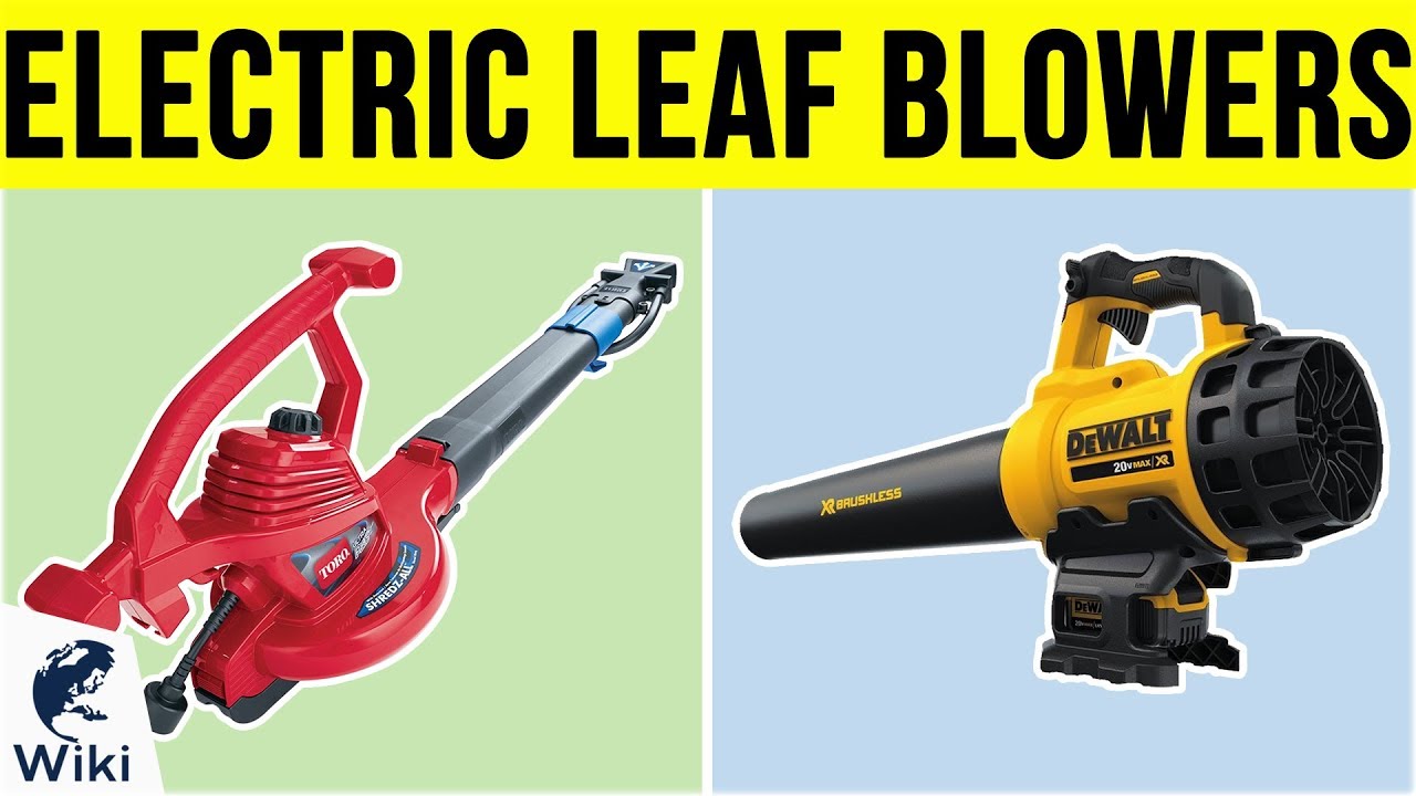 9 Best Electric Leaf Blowers 2019