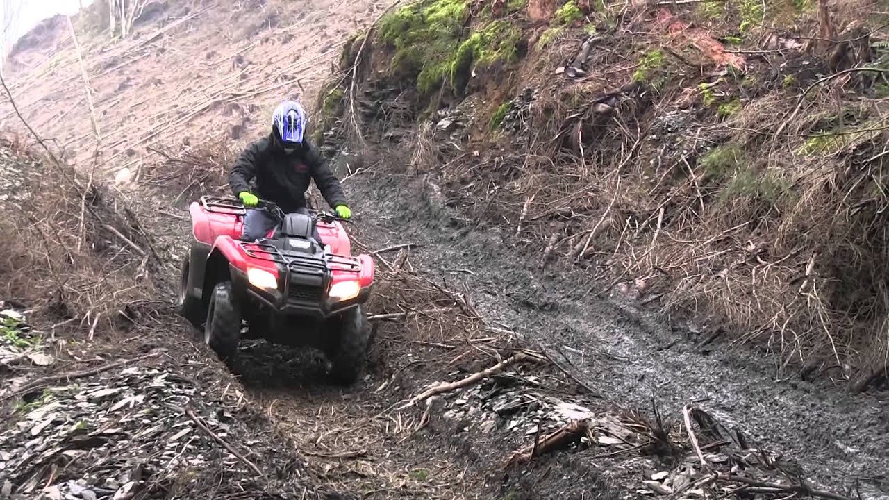 LammaXchange: Honda TRX 420 and TRX 500