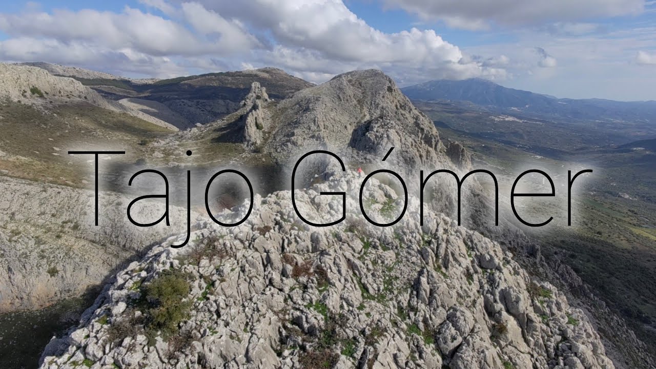 Tajo Gomer