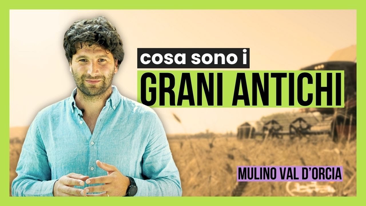 COSA SONO I GRANI ANTICHI - Con Amedeo Grappi del @MulinoValdOrciaPienza  - Italia Nutrizione