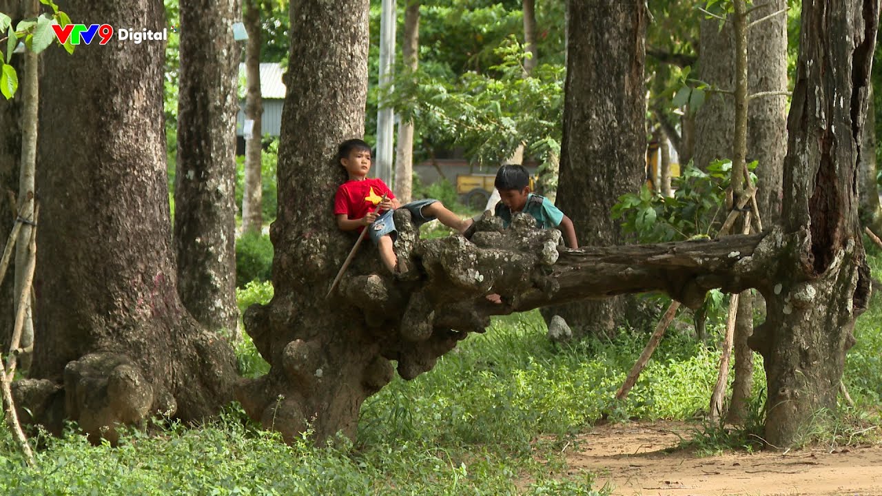 [TRÀ VINH - XA NHỚ, GẦN THƯƠNG] Tập 2: Về nơi rừng trong phố | Ký sự | VTV9