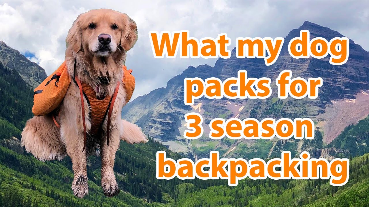 What my dog packs for 3 season ultralight backpacking