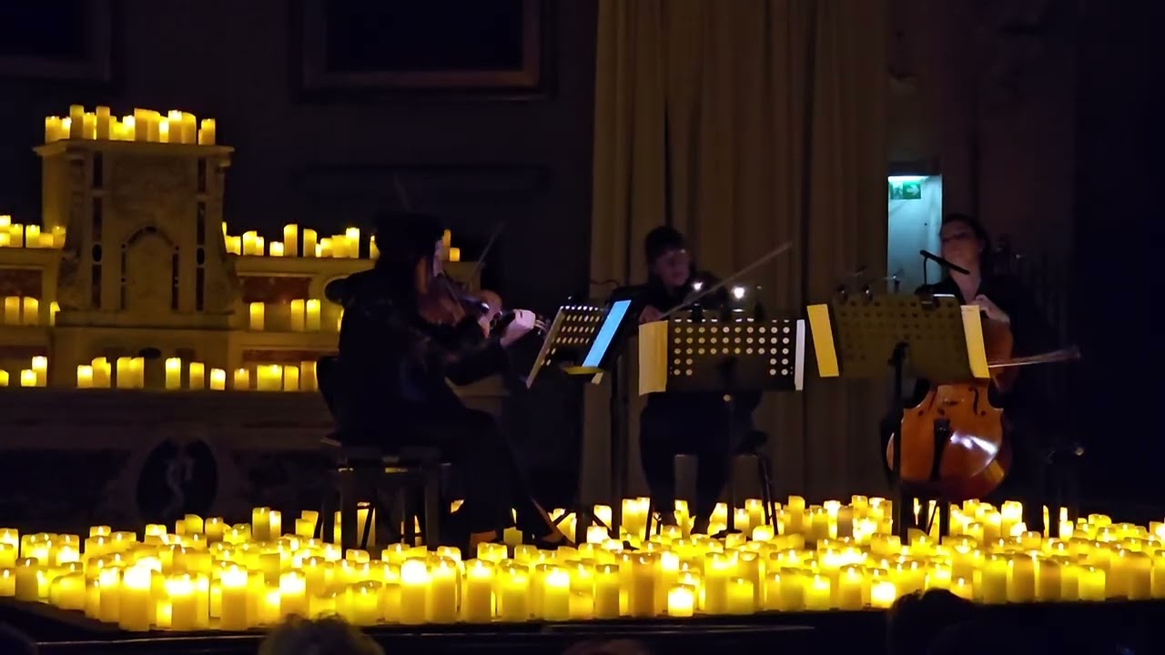 🎻