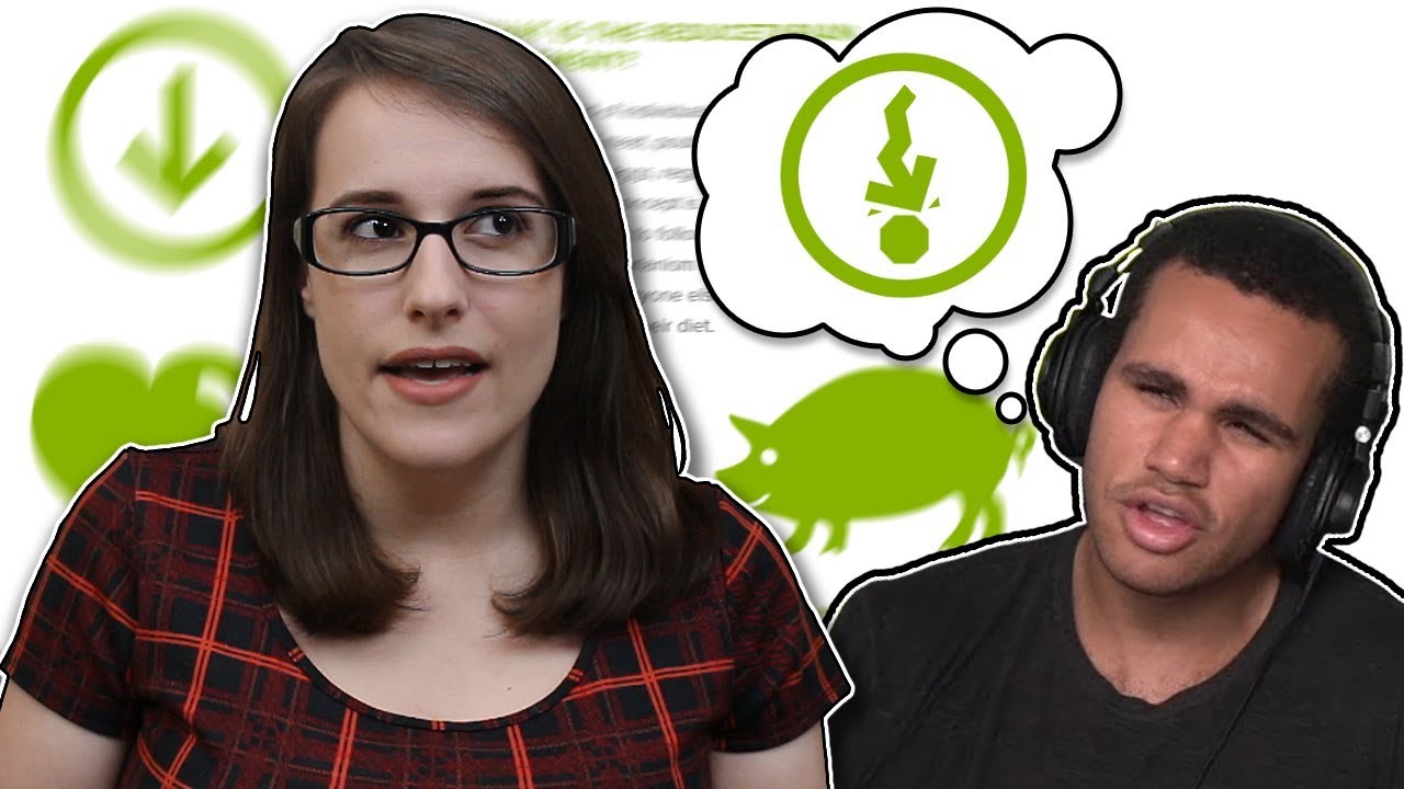 Vegan Gains Doesn't Understand Reducetarianism