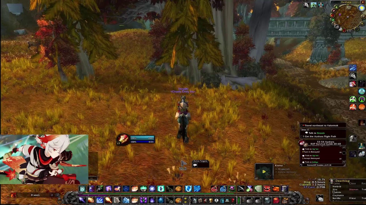 HC SF Mage Leveling