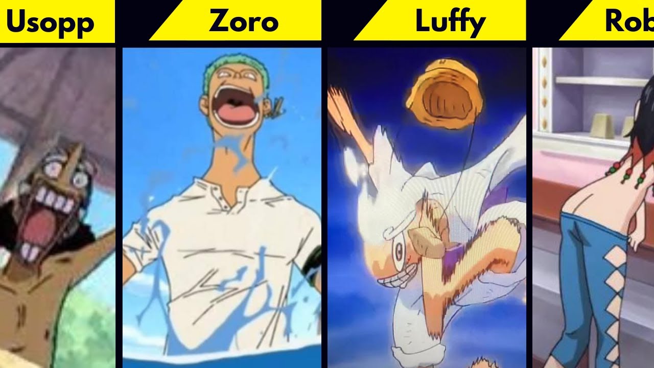 Never Pause One Piece