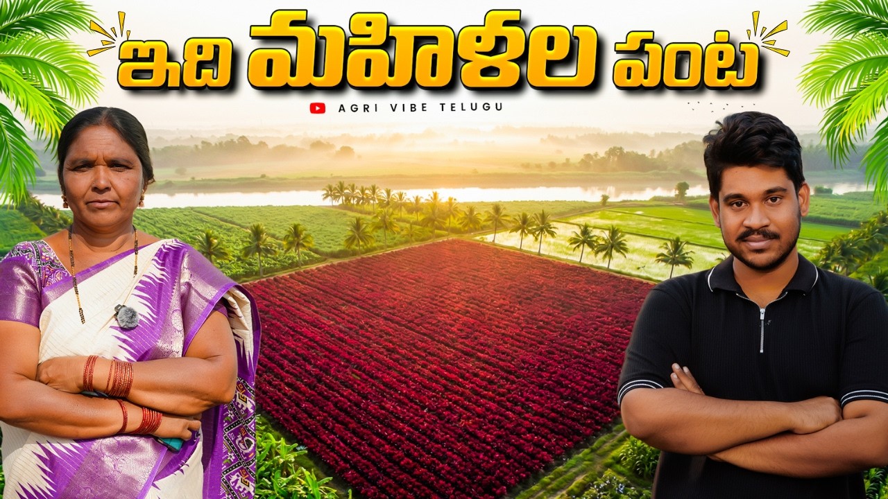 🔥చదువు లేదు… కానీ World Famous 🌍 Mogulamma Story | Women Farmer Telugu