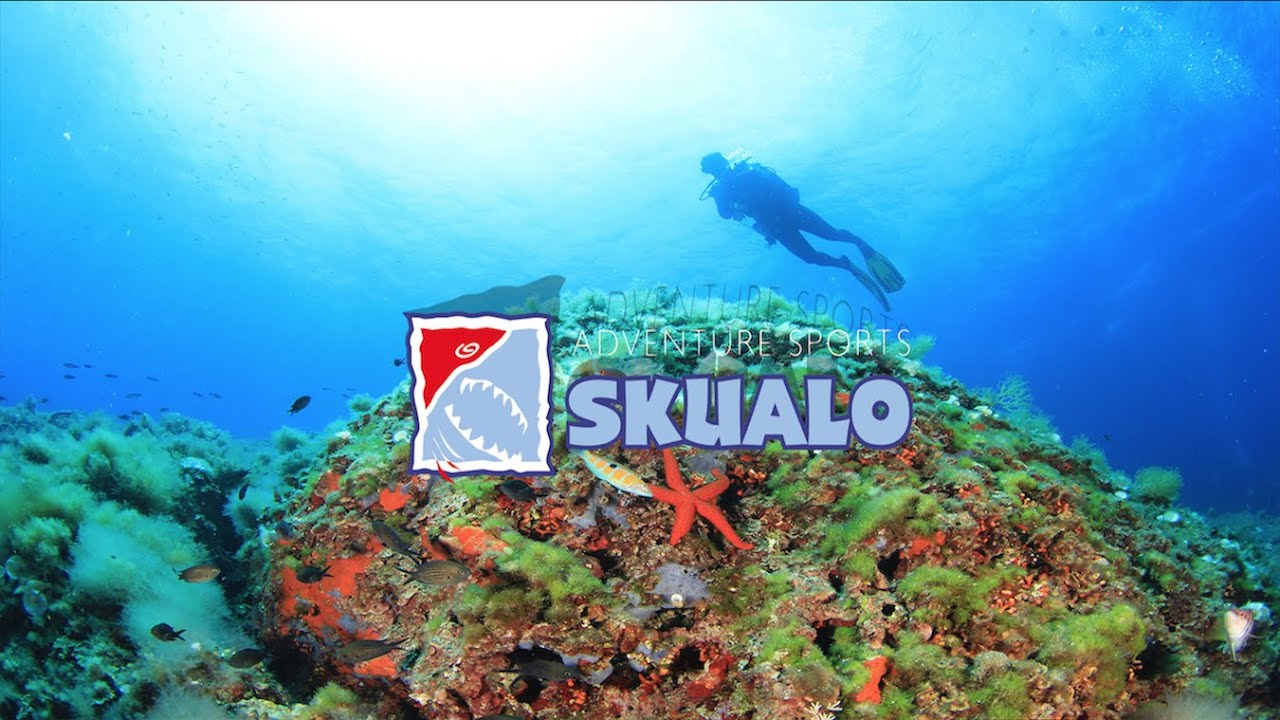 This is Skualo Portocolom