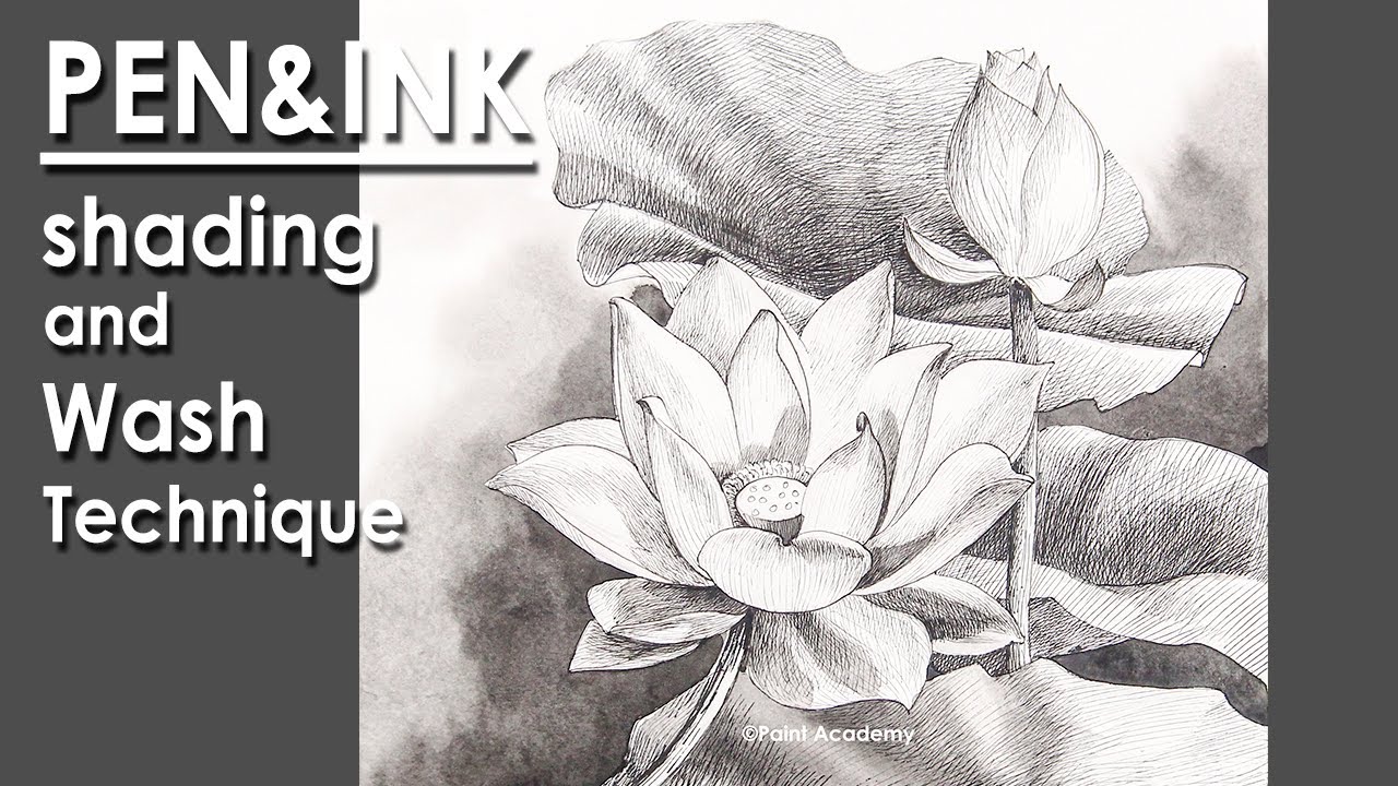 Pen and Ink Drawing : How to Shade a Lotus | applying pen and watercolor wash technique