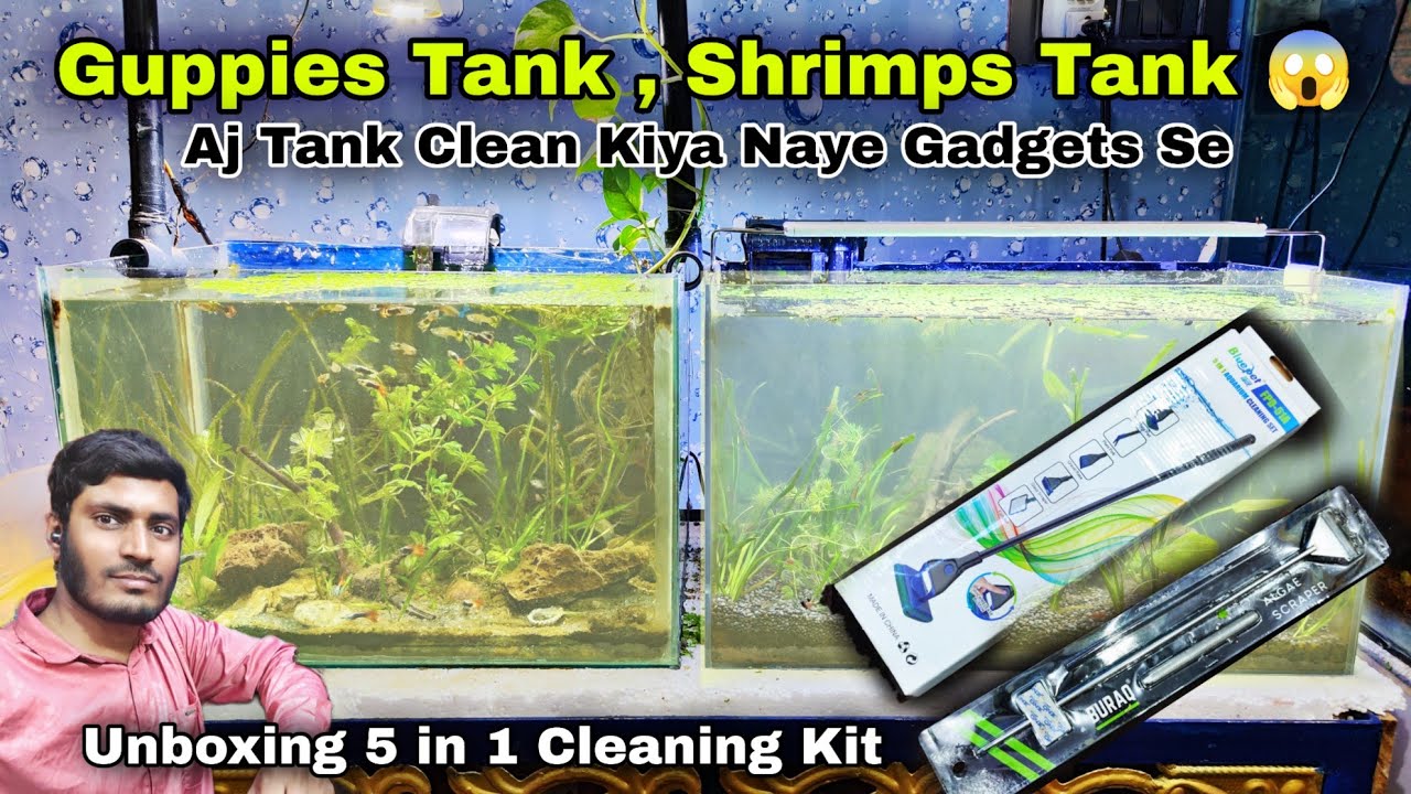 Guppies Tank , Shrimps Tank  Cleaning With 5 in 1 Cleaning Kit , Algae Scraper Buraq Pets