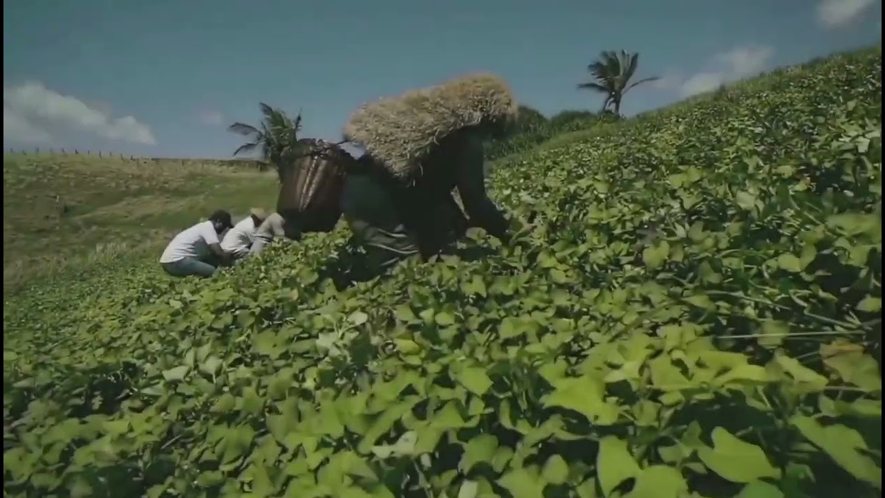 IVATANS OF BATANES