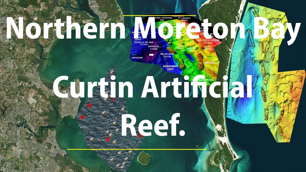 Northern Moreton Bay – Curtin Artificial Reef