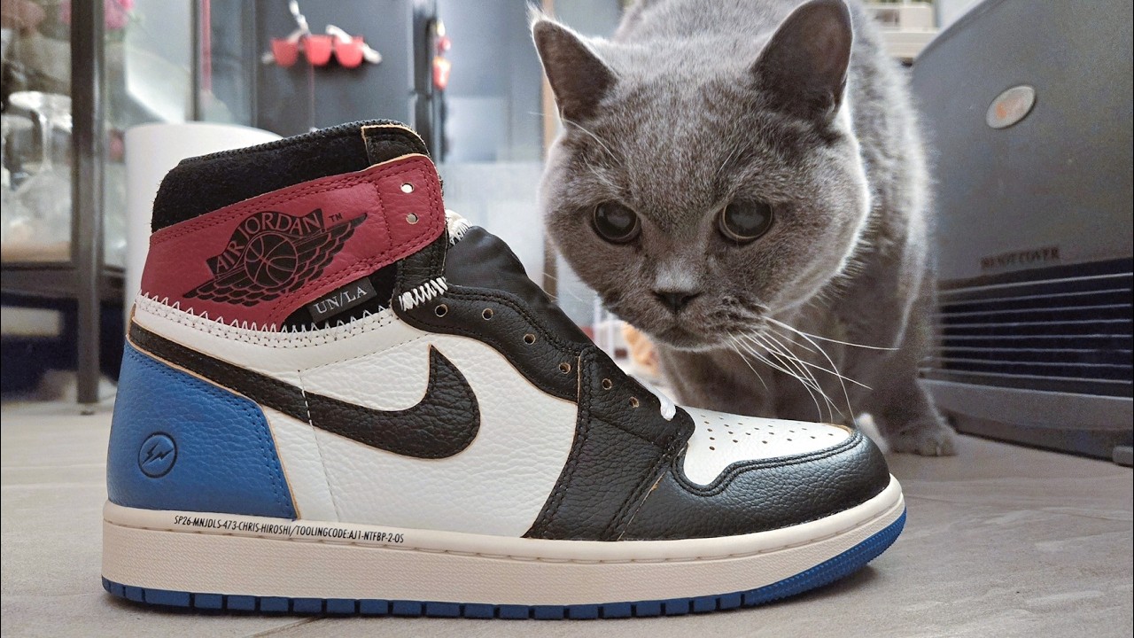 (廣東話+字幕)[我隻貓突然眼盲咗😭！] UNION x FRAGMENT x Air Jordan 1 (2025 Nike購入)開箱Unboxing