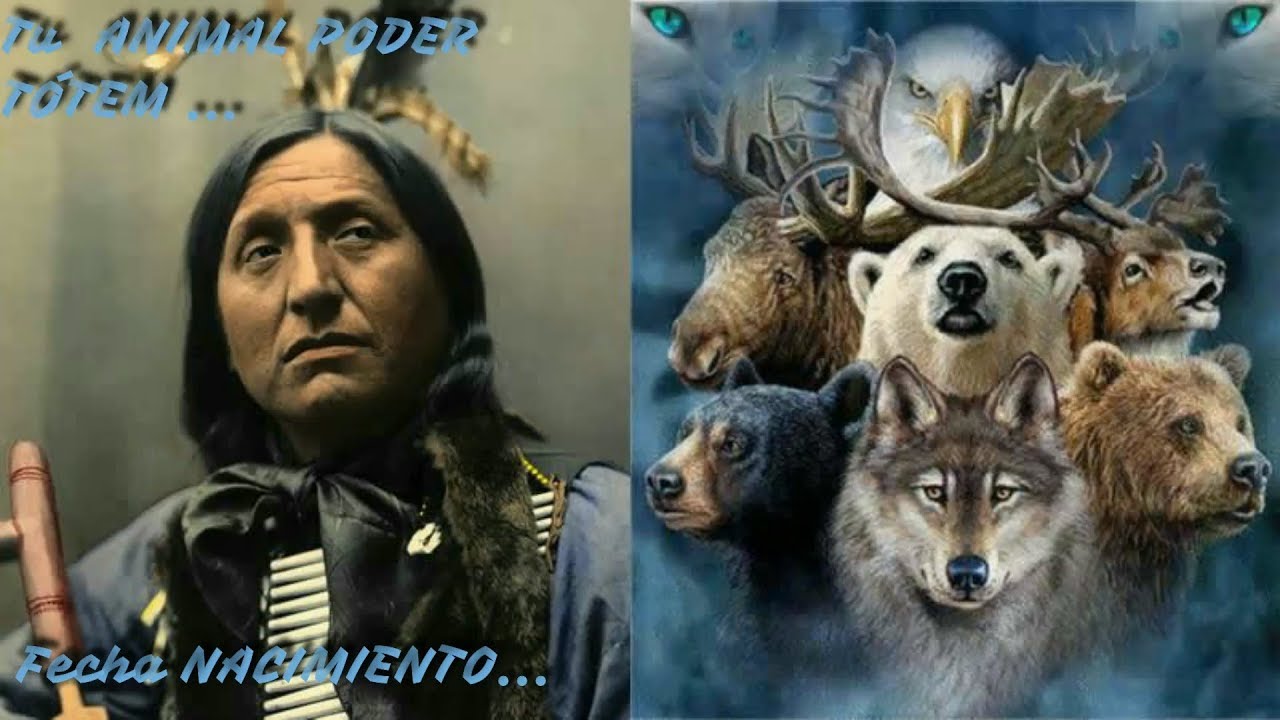 Tu ANIMAL de PODER o TÓTEM según tu FECHA de NACIMIENTO. Parte 1