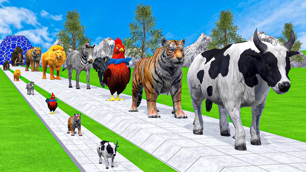 Long Slide Game With Cow Elephant Gorilla Hippopotamus Tiger - 3d Animal Game - Funny 3d Animals