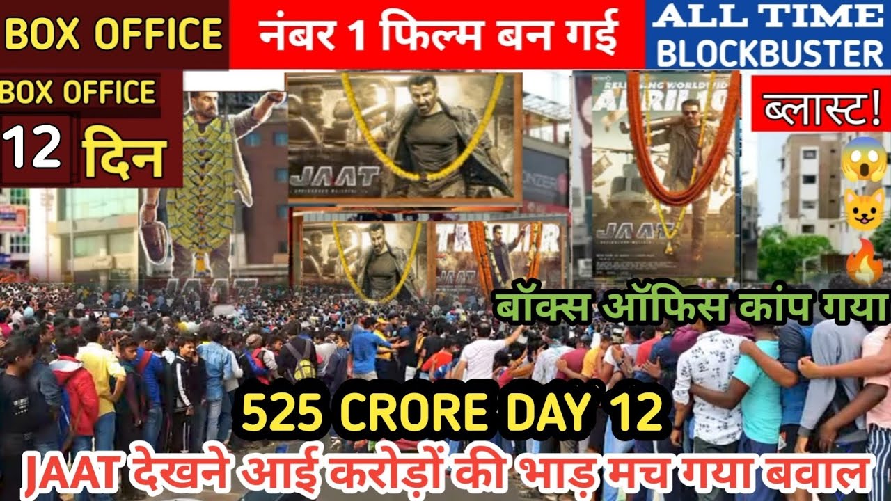 Jaat ( Day -12 ) बड़ी छलांग😺Record Breaking Advance Booking Unbelievable😱|Jaat Box Office Collection