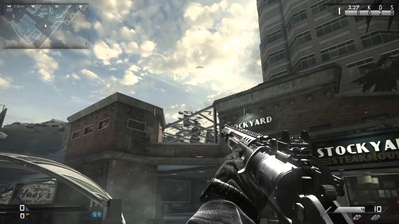 【銃声MAD】最終鬼畜銃ハニーバジャー・G【COD:G】