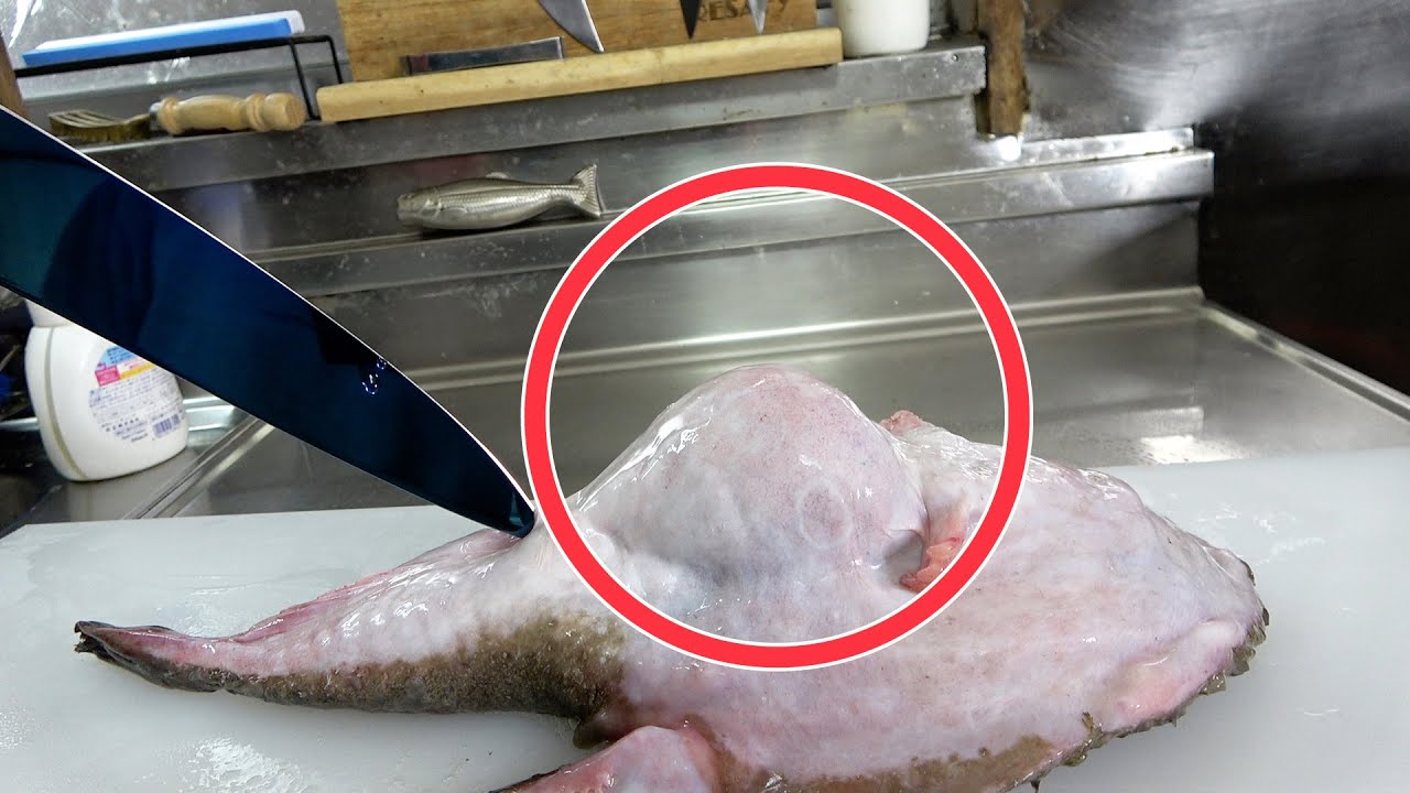 病気？食べ過ぎ？異常にぽっこりお腹が膨らんだアンコウを捌いてみたら・・・