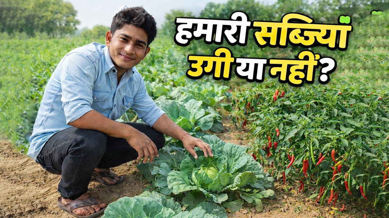 Sabzi Ugi Nahi… Ugi 🌱| @uttam617vlogs